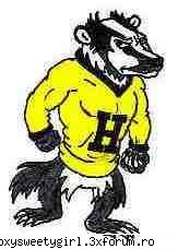 Informatii legate de Astropufi - Fondator: Helga Hufflepuf Seful Casei: profesoara - Astropufi(Hufflepuff)